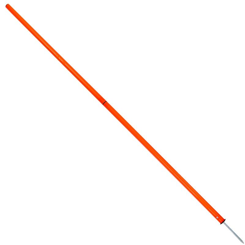 Gemini Sport variant image