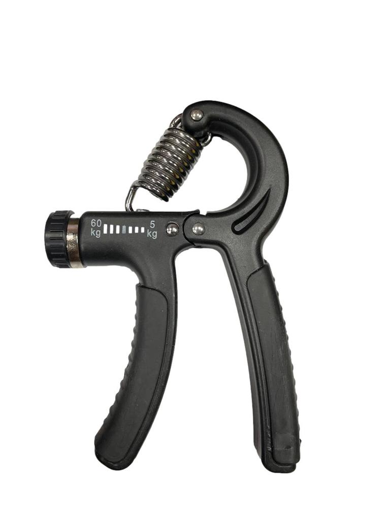Gemini Sport variant image