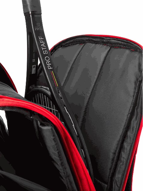Gemini Sport variant image
