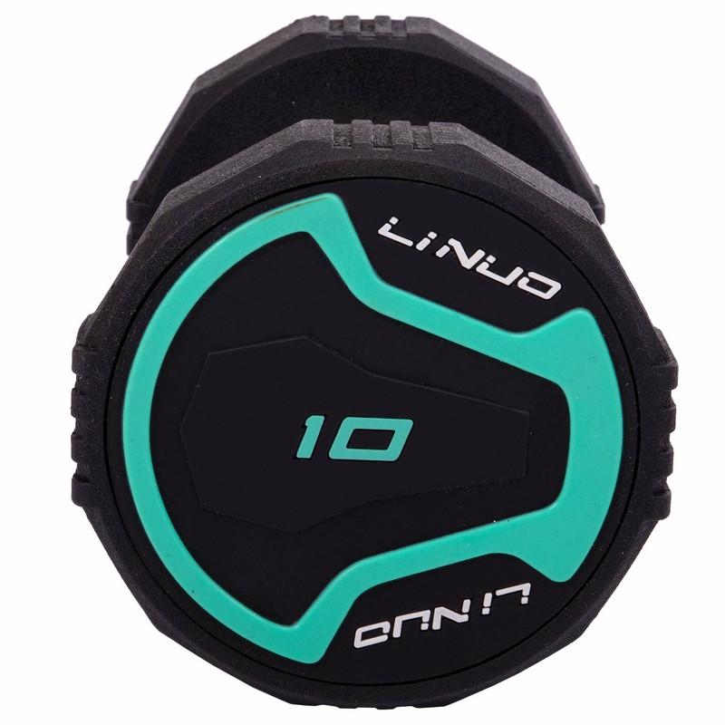 Gemini Sport variant image