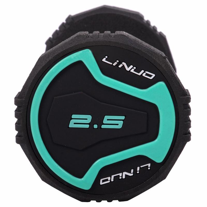 Gemini Sport variant image