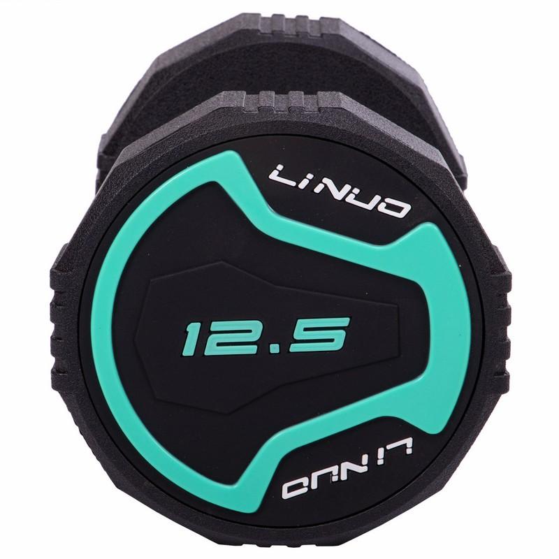 Gemini Sport variant image