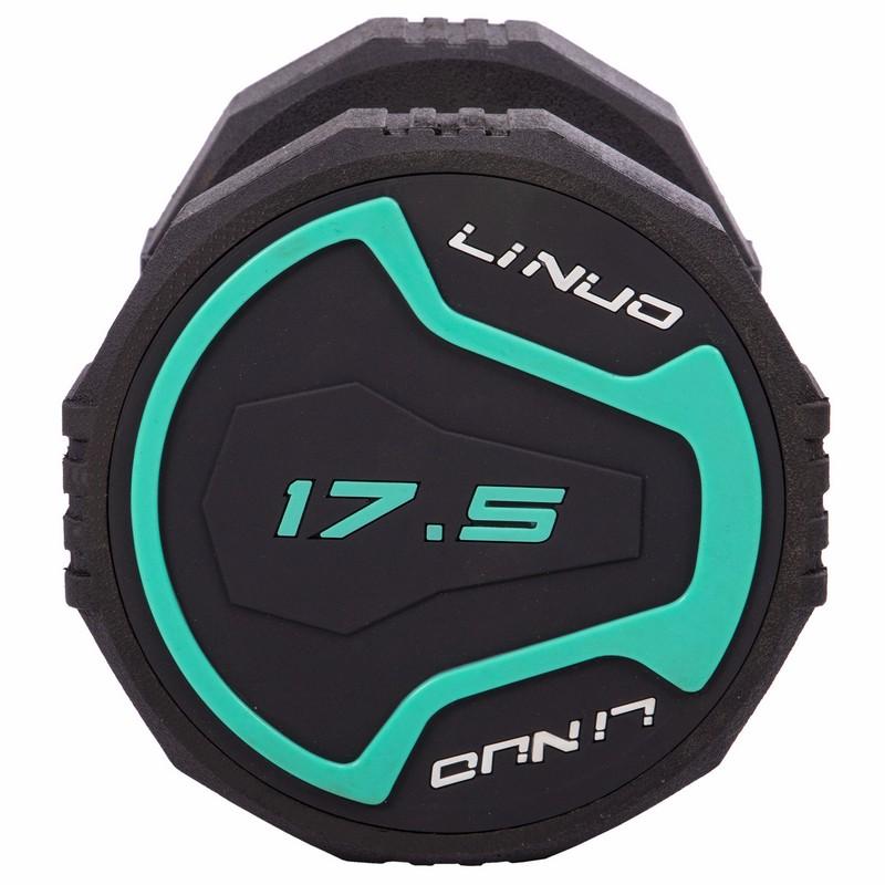 Gemini Sport variant image