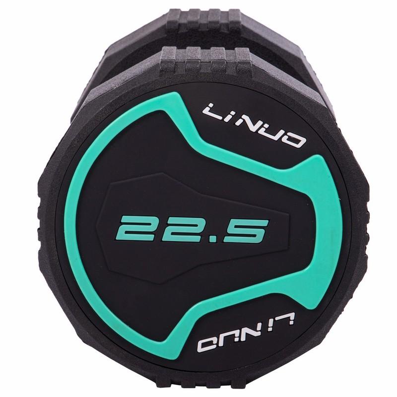 Gemini Sport variant image