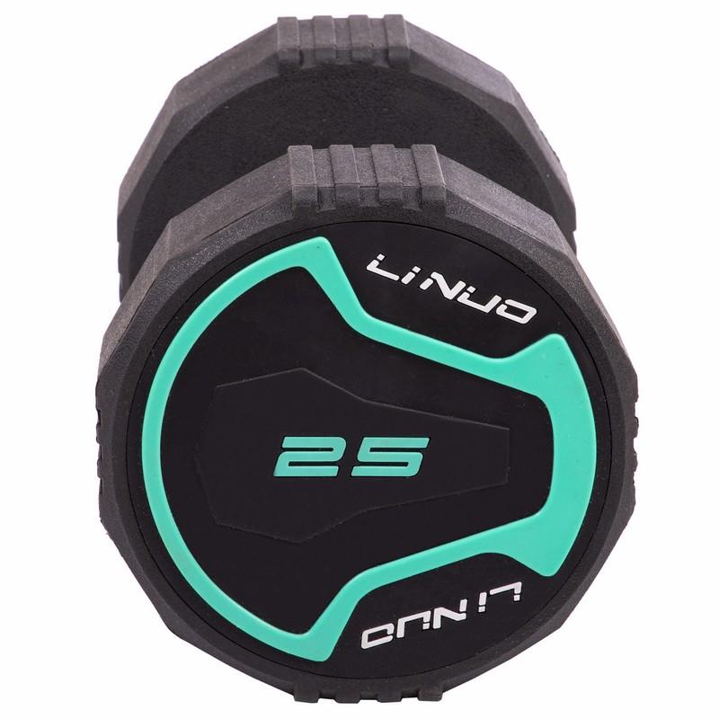 Gemini Sport variant image
