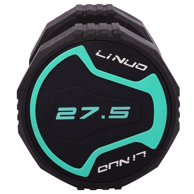 Gemini Sport variant image