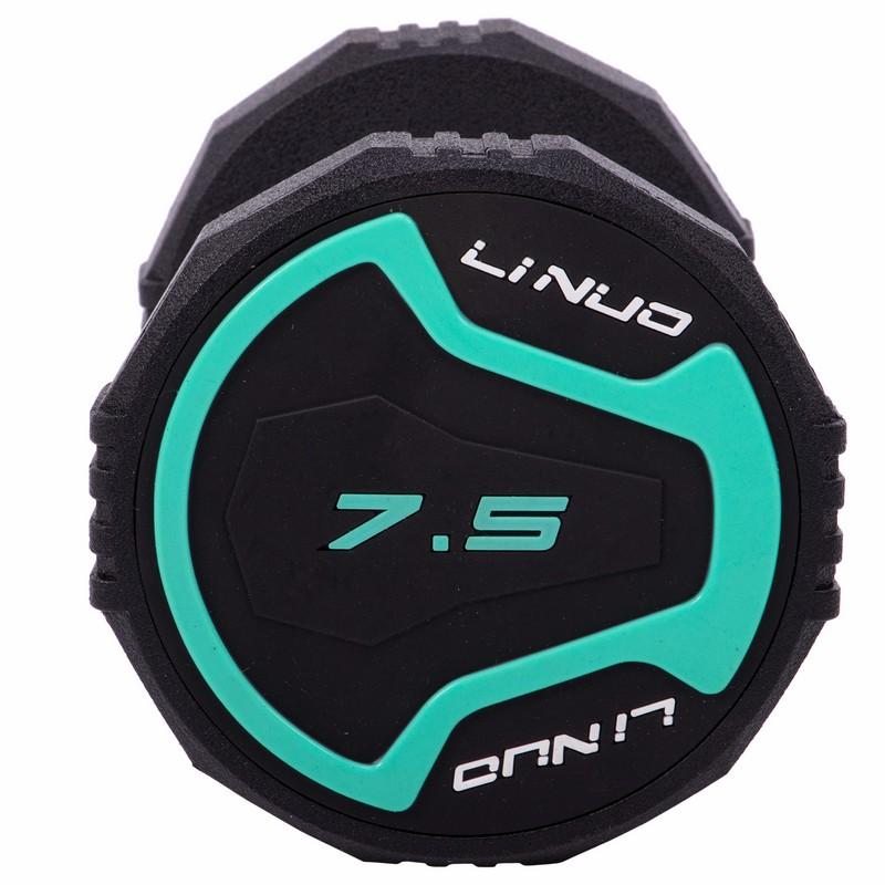 Gemini Sport variant image