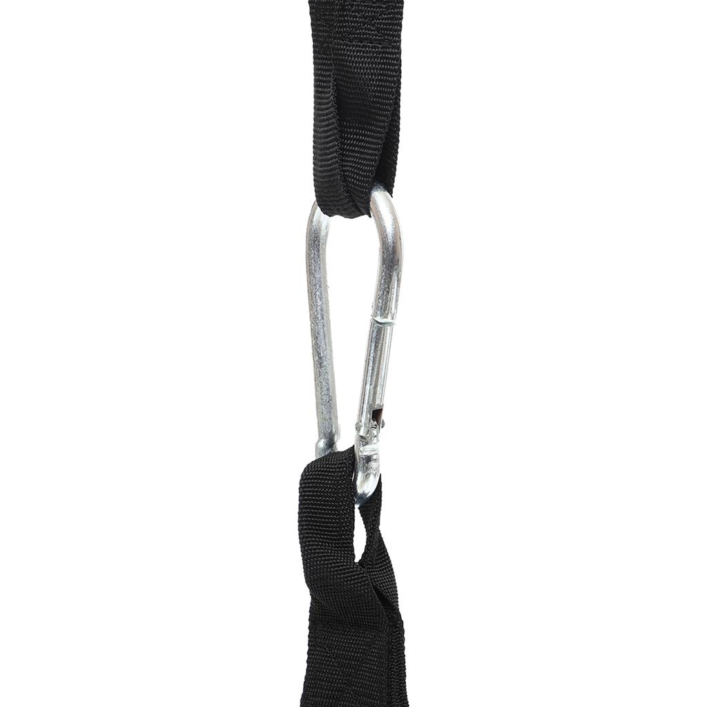 Gemini Sport variant image