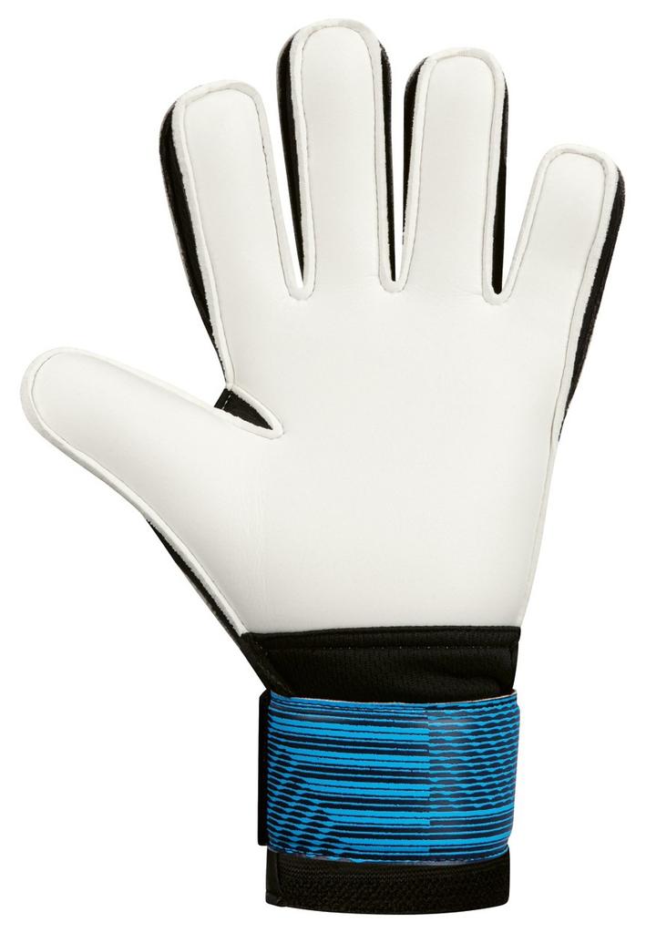 Gemini Sport variant image