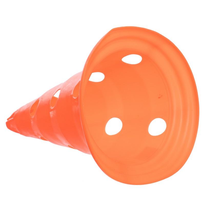 Gemini Sport variant image