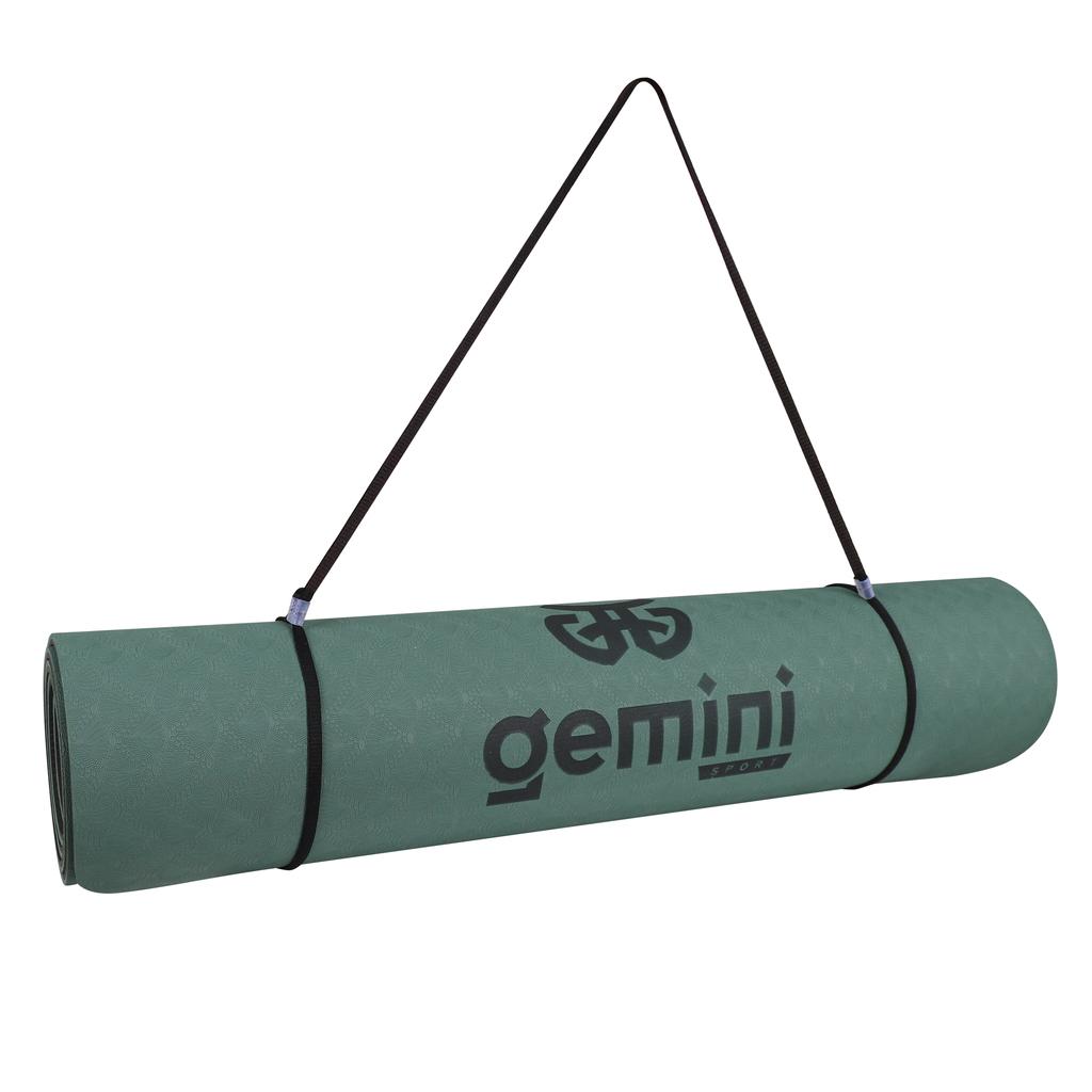 Gemini Sport variant image