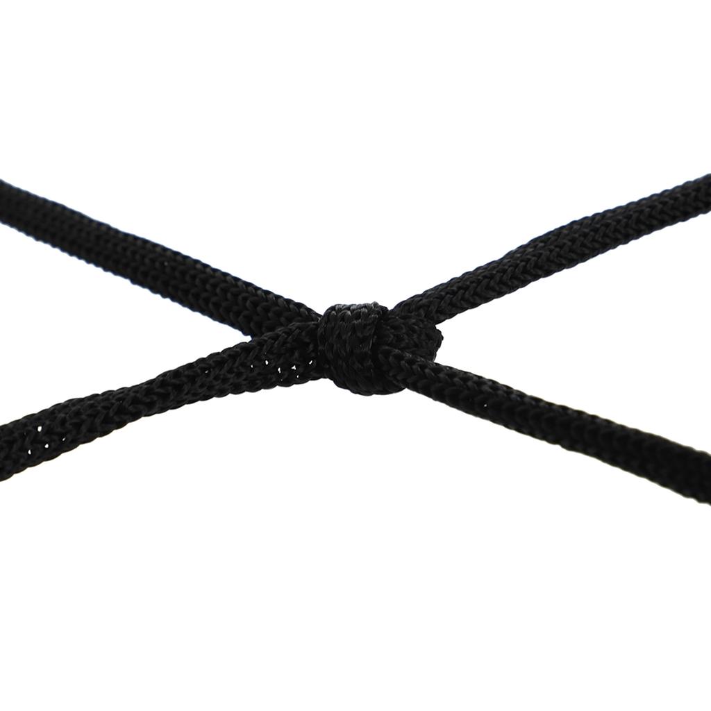 Gemini Sport variant image