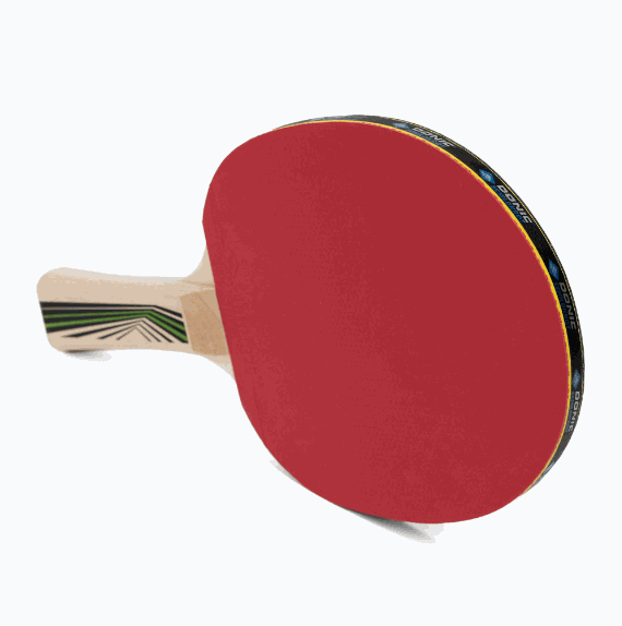 Gemini Sport variant image