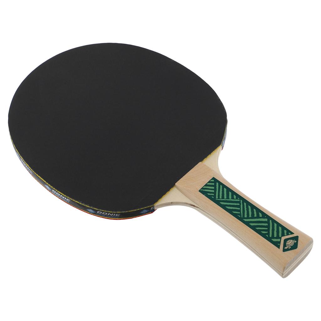 Gemini Sport variant image