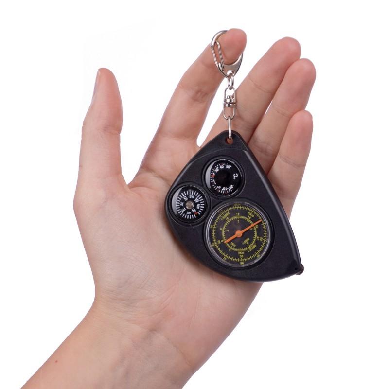 Gemini Sport variant image