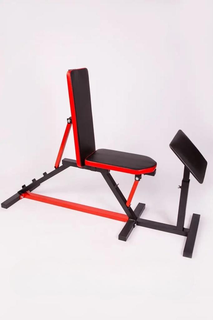 Gemini Sport variant image