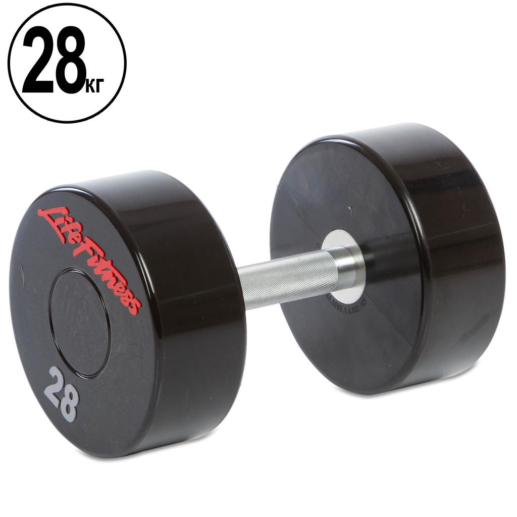 Гантель цільна професійна LIFE FITNESS GA-80081-28 1шт 28кг